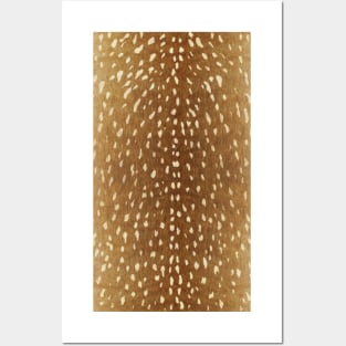 Deer Hide Pattern Posters and Art